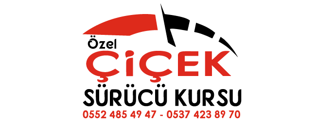 IMG-LOGO